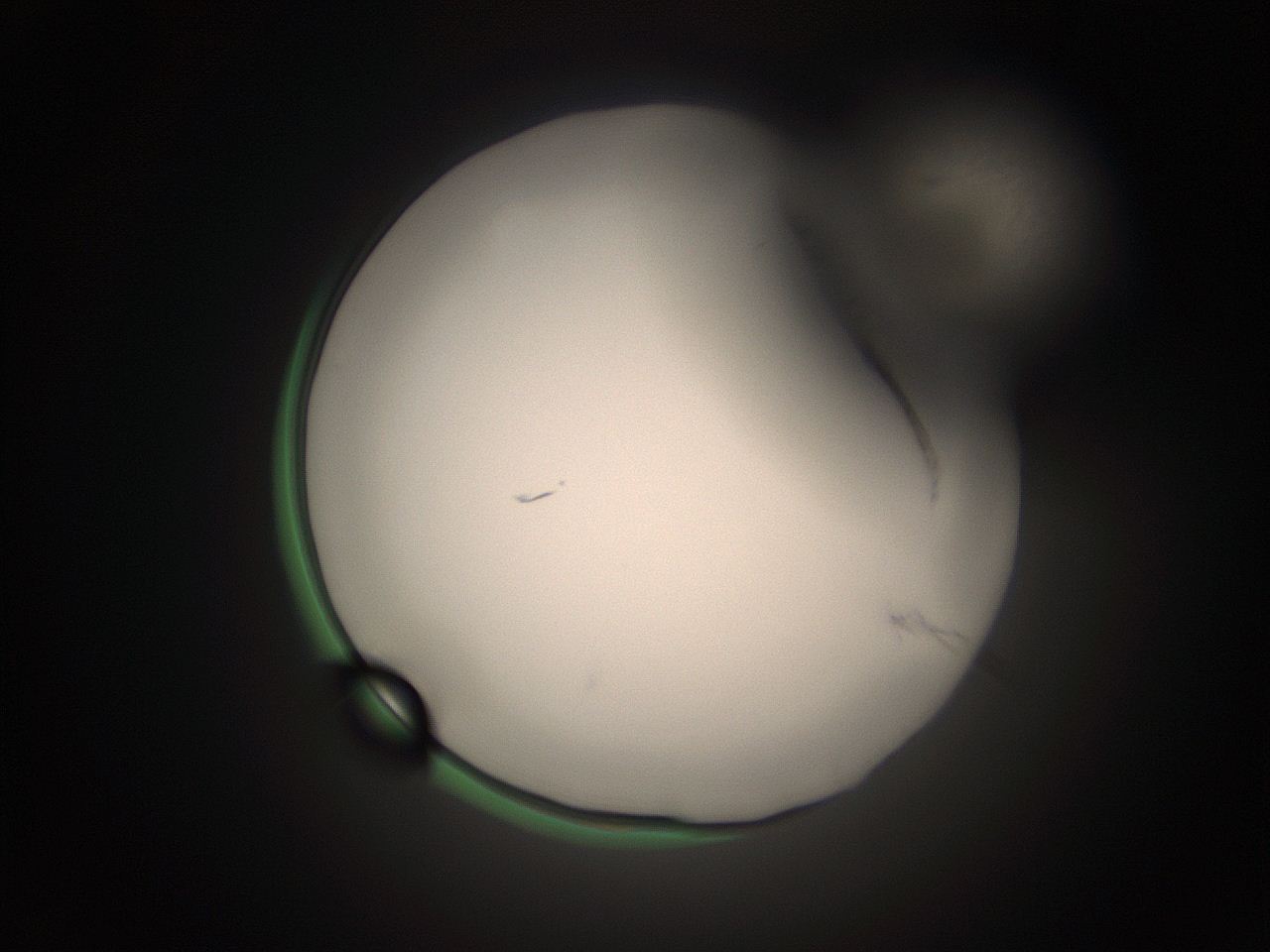 05tz_N2_ImagerDefaults_1.jpg