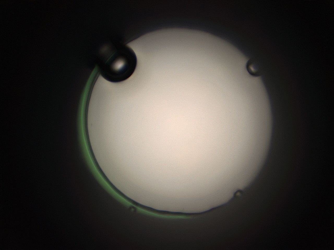 05tz_N7_ImagerDefaults_1.jpg