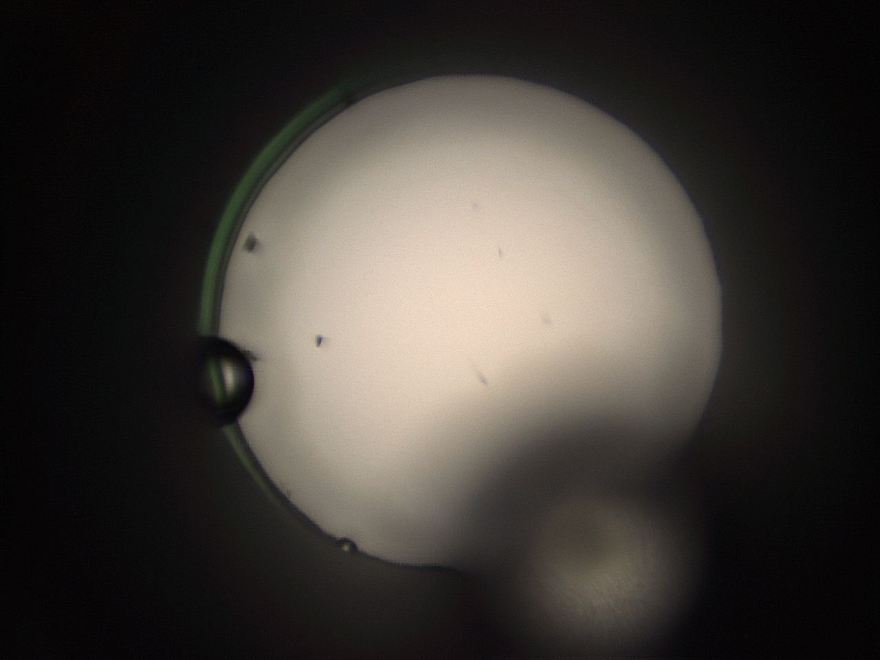 05tz_N13_ImagerDefaults_1.jpg