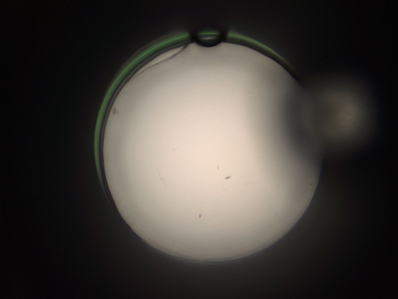 05tz_N20_ImagerDefaults_1.jpg