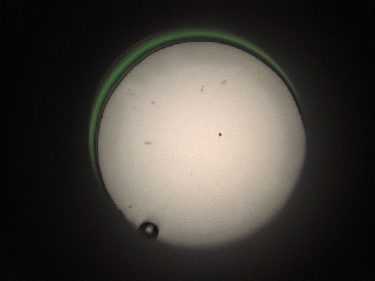 05tz_N23_ImagerDefaults_1.jpg