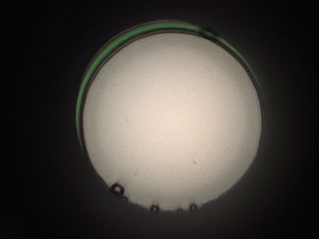 05tz_N24_ImagerDefaults_1.jpg