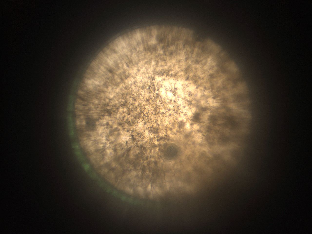 05tz_O1_ImagerDefaults_9.jpg