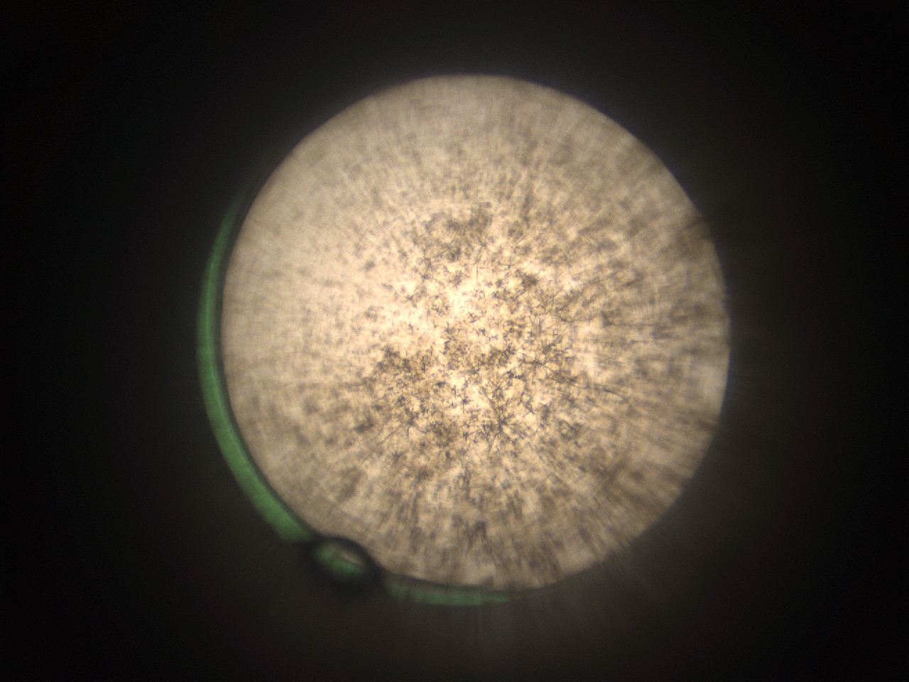 05tz_O2_ImagerDefaults_9.jpg