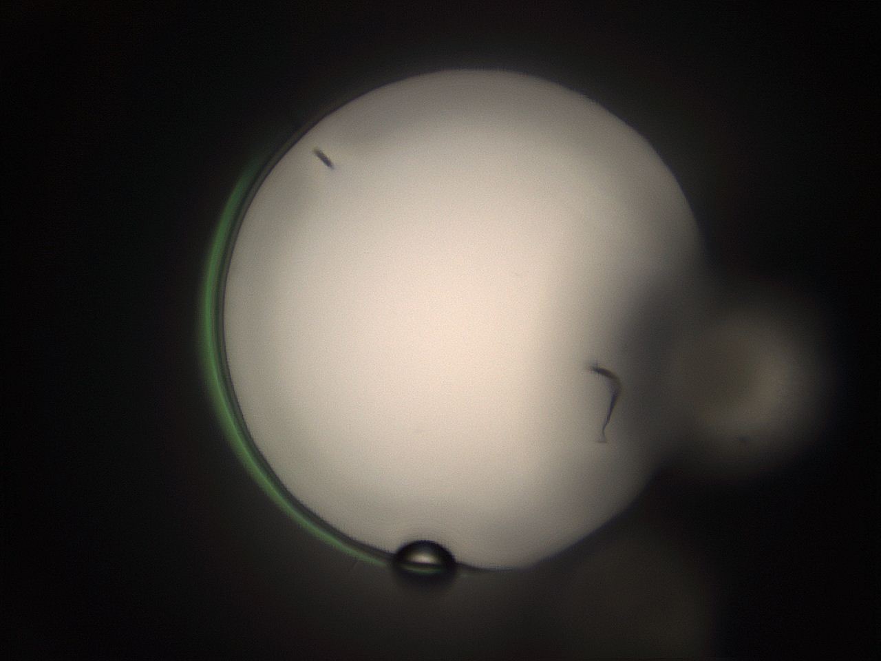 05tz_O12_ImagerDefaults_1.jpg