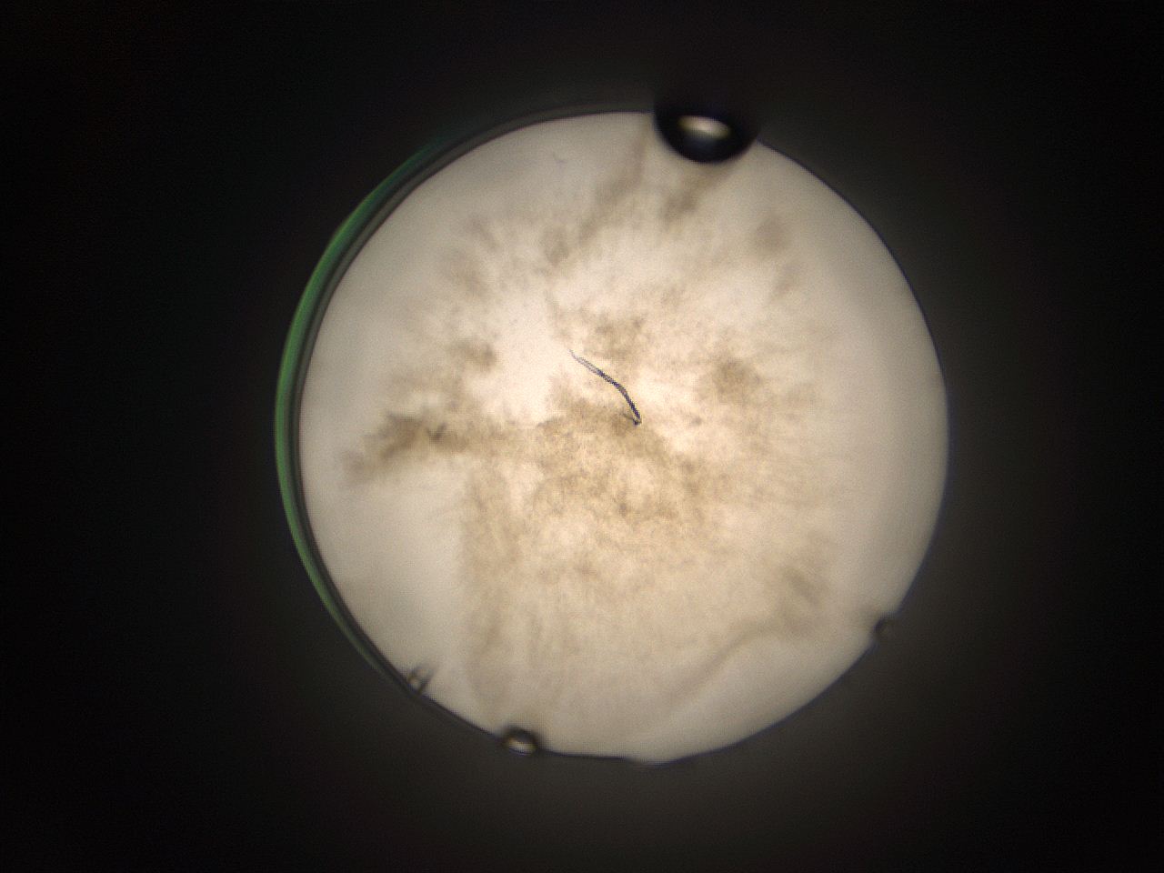 05tz_O13_ImagerDefaults_9.jpg