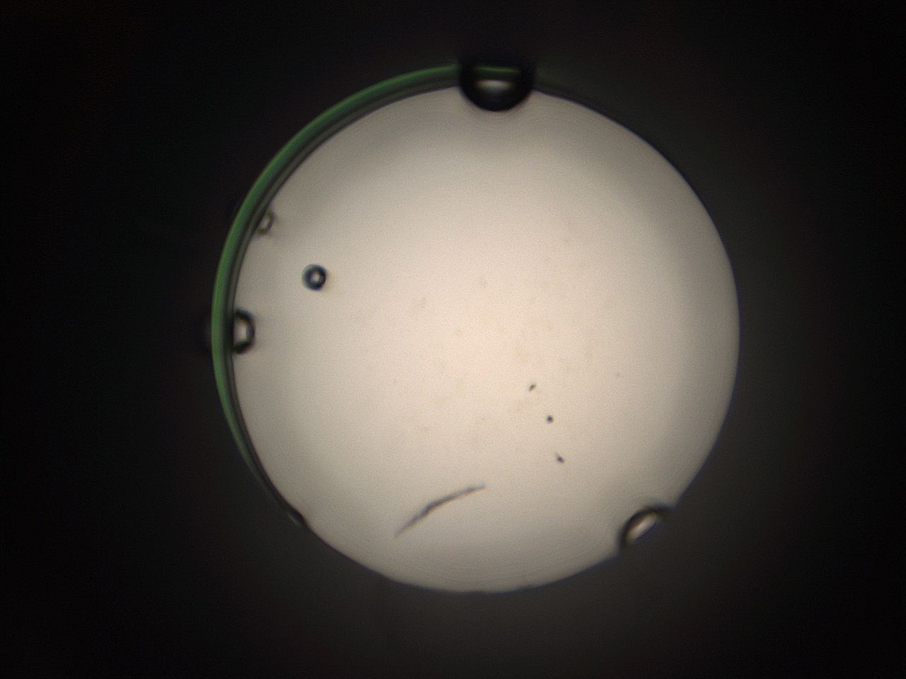 05tz_O16_ImagerDefaults_9.jpg