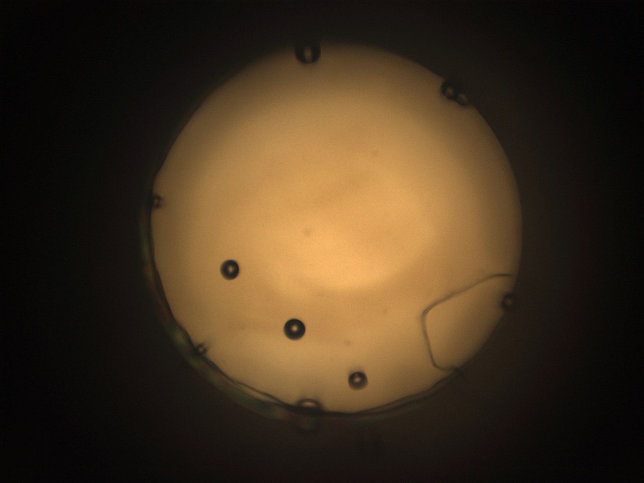 05tz_P1_ImagerDefaults_9.jpg