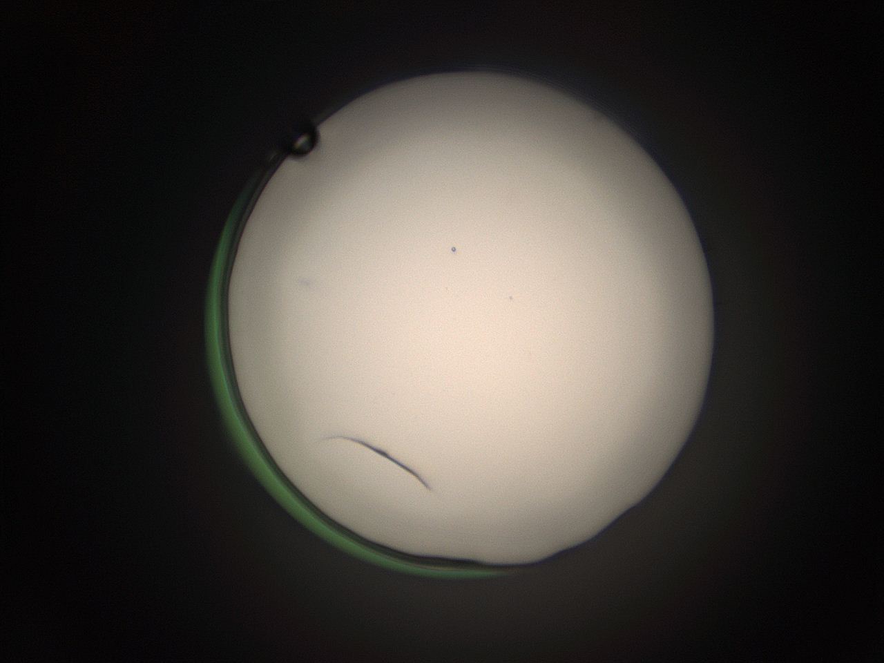 05tz_P5_ImagerDefaults_1.jpg