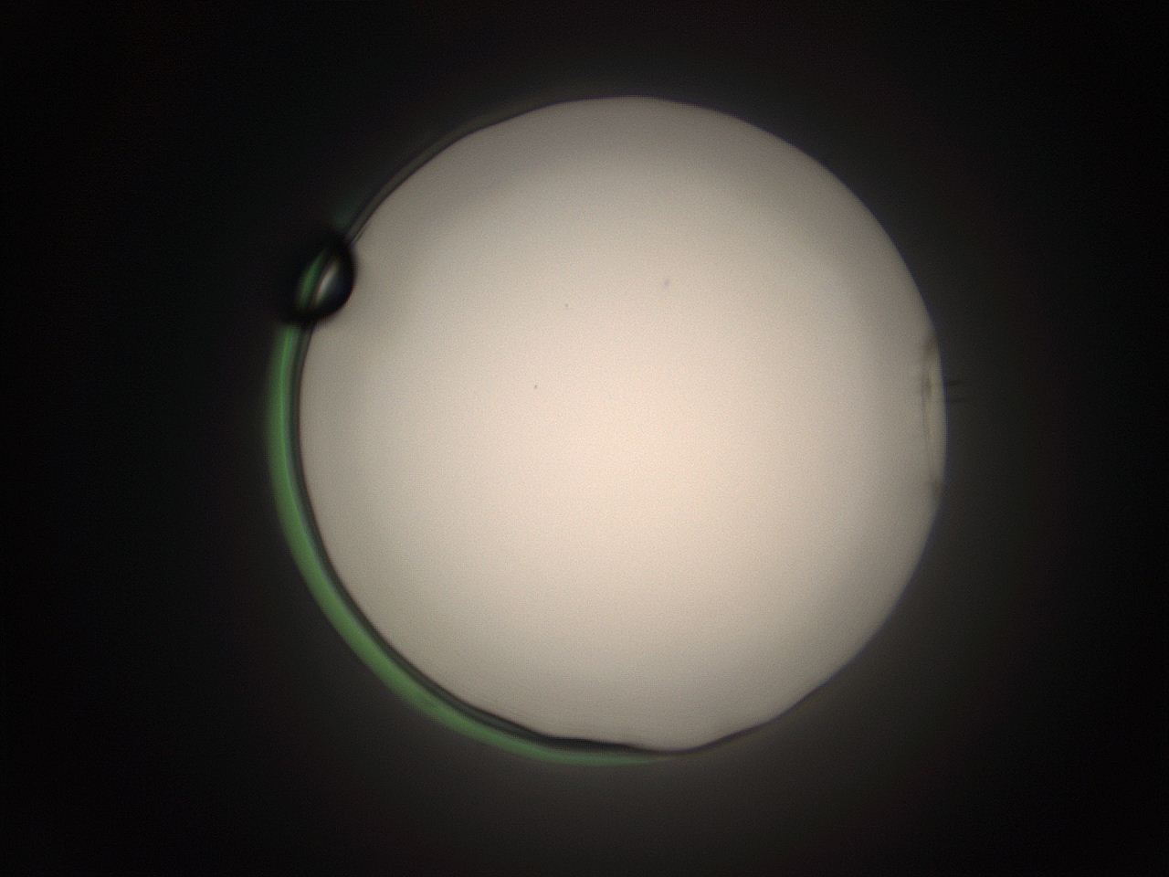 05tz_P8_ImagerDefaults_1.jpg