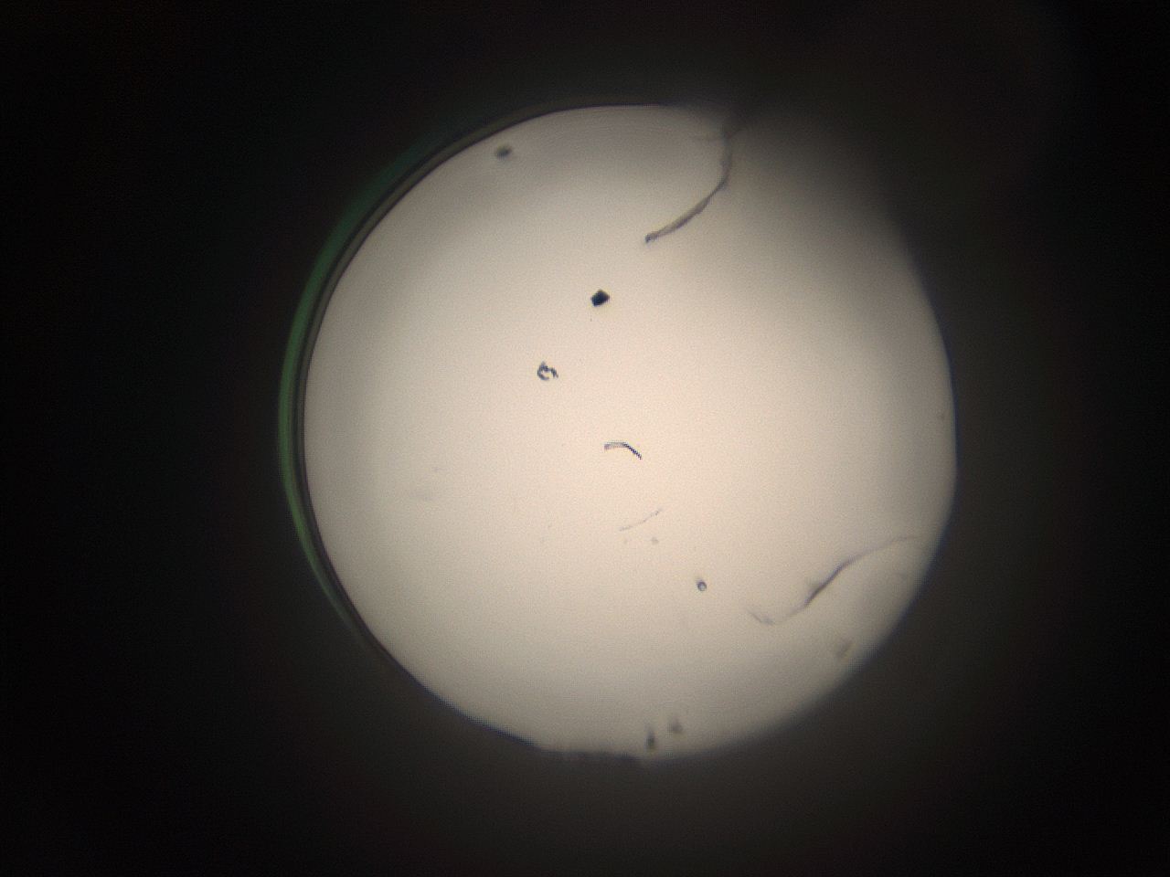 05tz_P13_ImagerDefaults_1.jpg