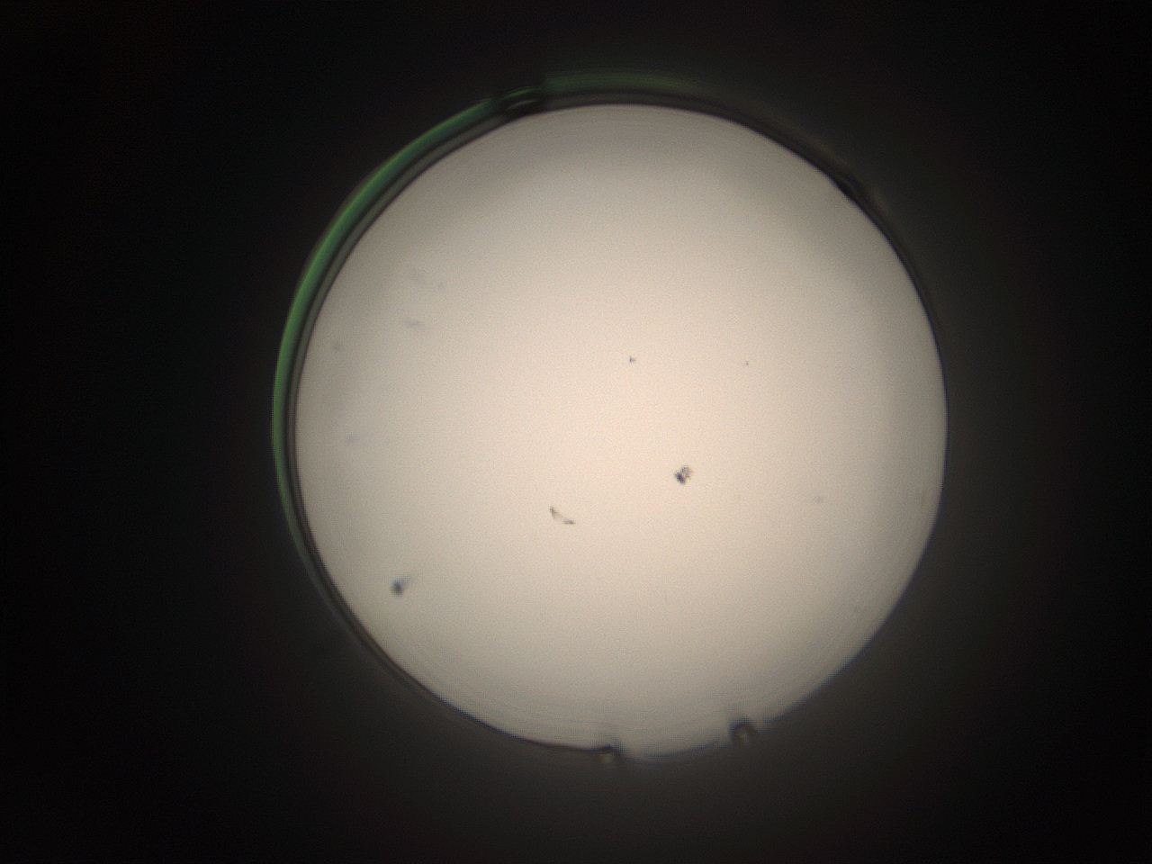 05tz_P15_ImagerDefaults_1.jpg