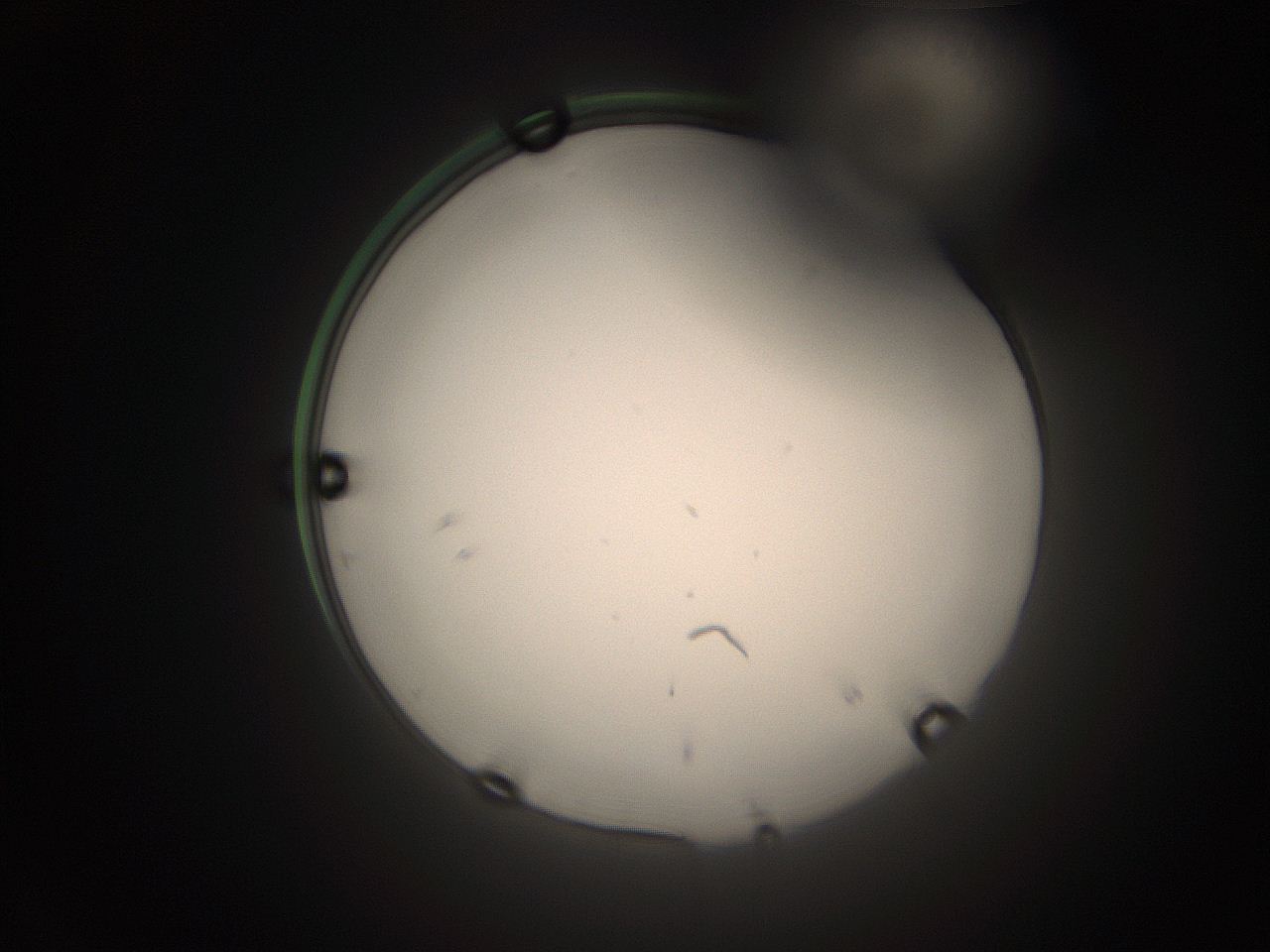 05tz_P16_ImagerDefaults_1.jpg