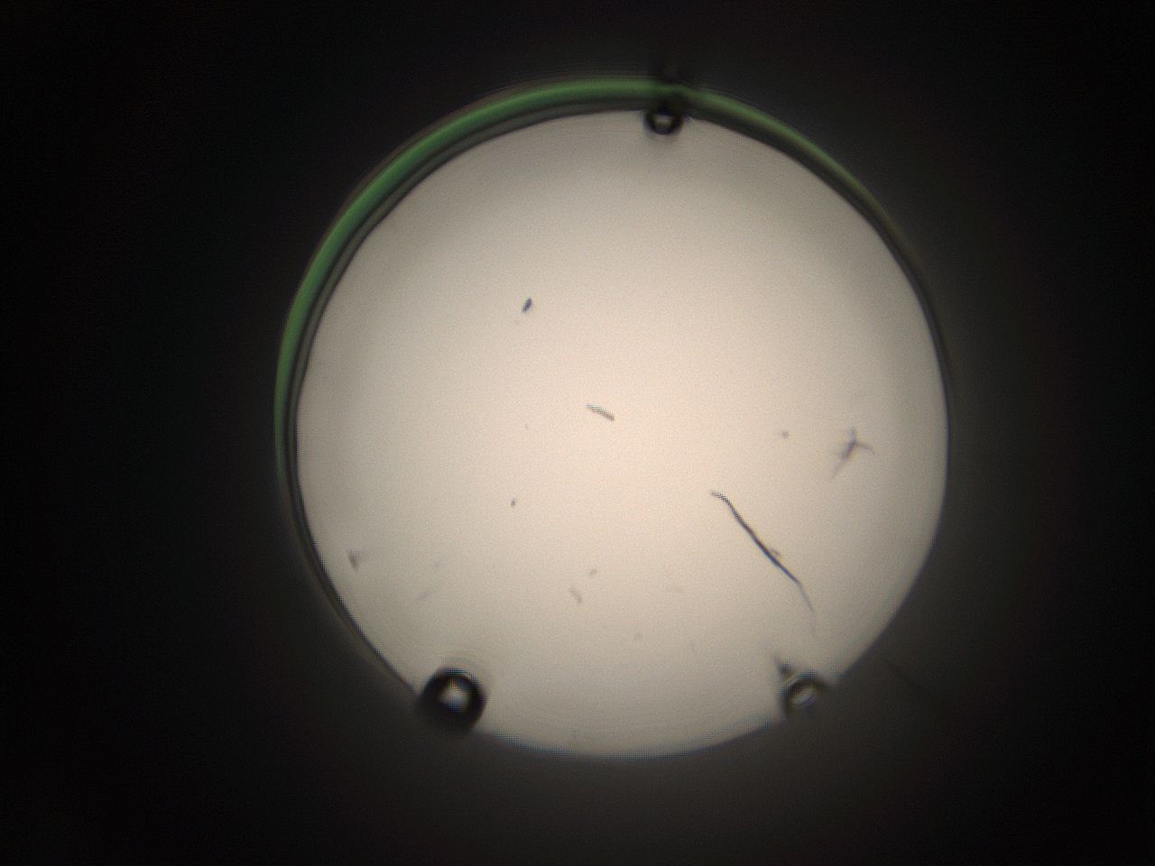 05tz_P21_ImagerDefaults_1.jpg
