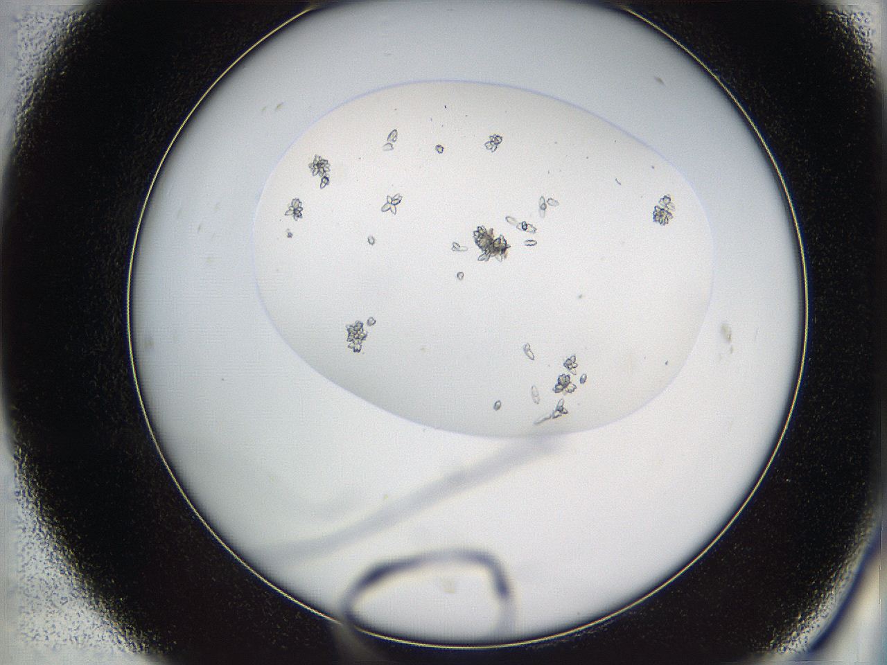 05uf_C7_ImagerDefaults_9.jpg