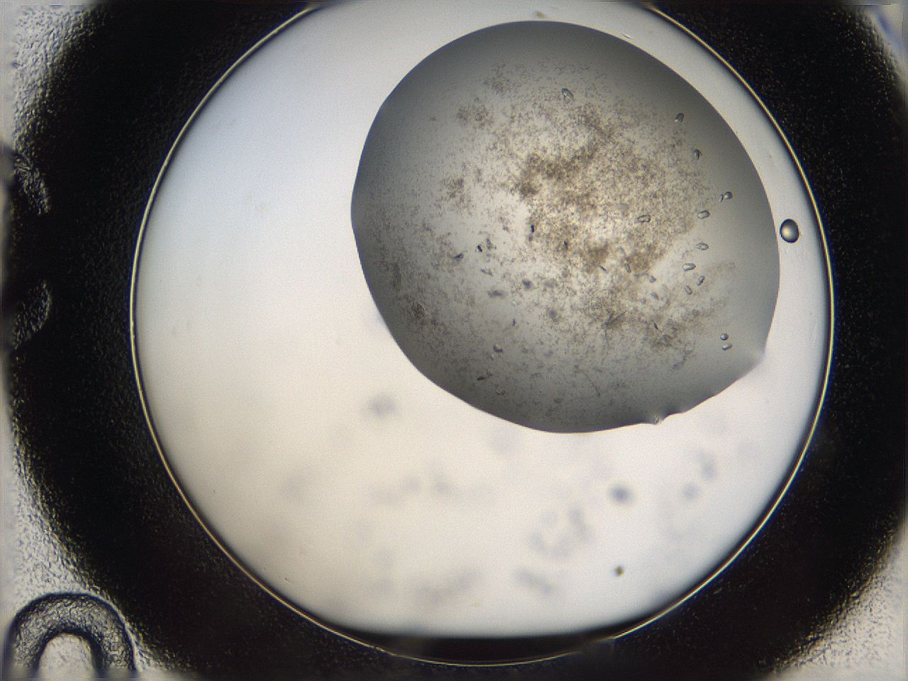 05uf_C10_ImagerDefaults_9.jpg