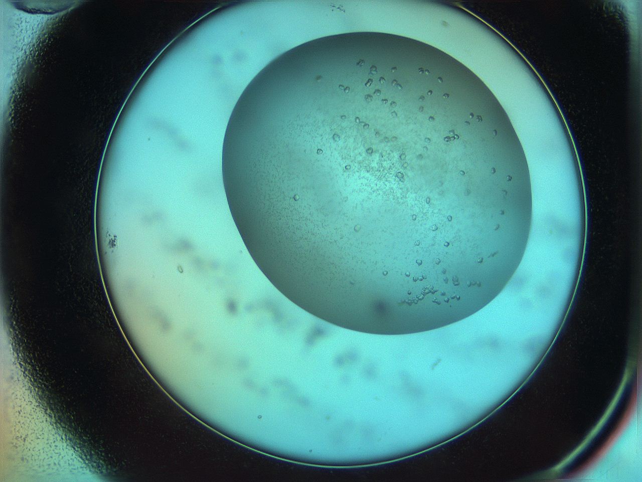 05uf_B10_ImagerDefaults_9.jpg
