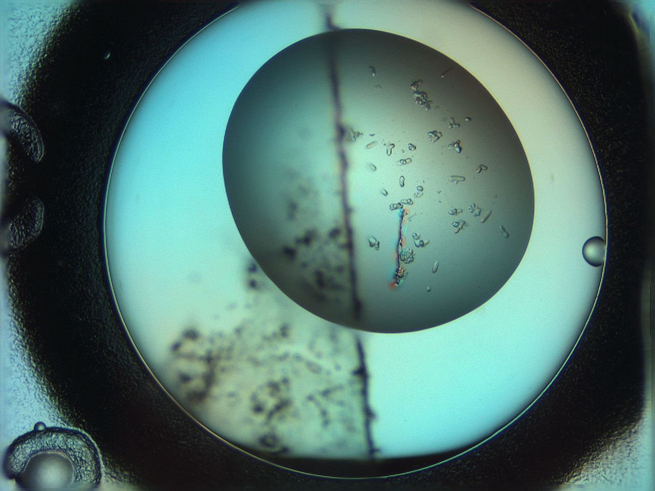 05uf_C12_ImagerDefaults_9.jpg