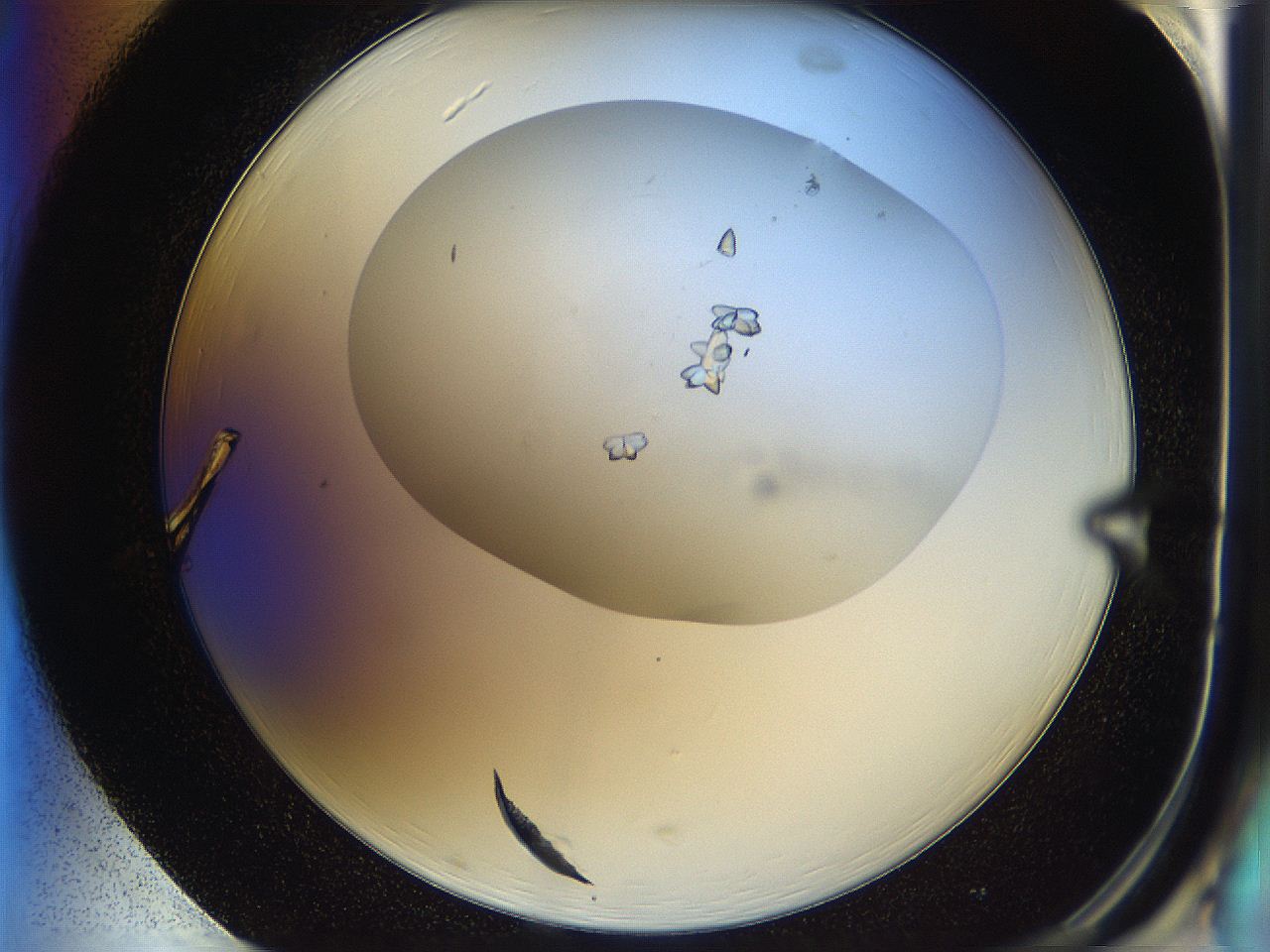 05uf_H1_ImagerDefaults_9.jpg