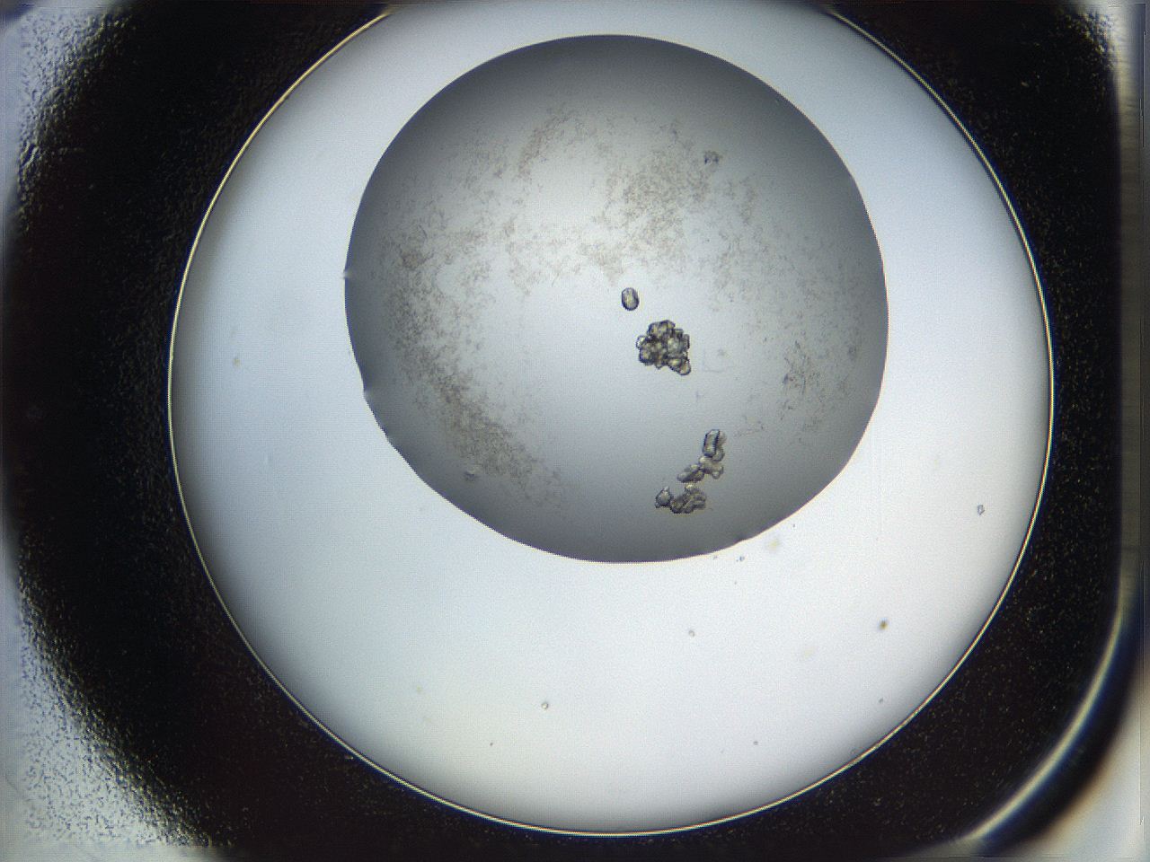 05ug_C9_ImagerDefaults_9.jpg