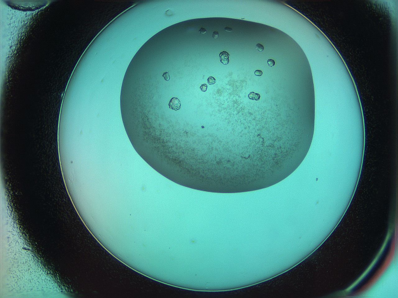 05ug_C10_ImagerDefaults_9.jpg