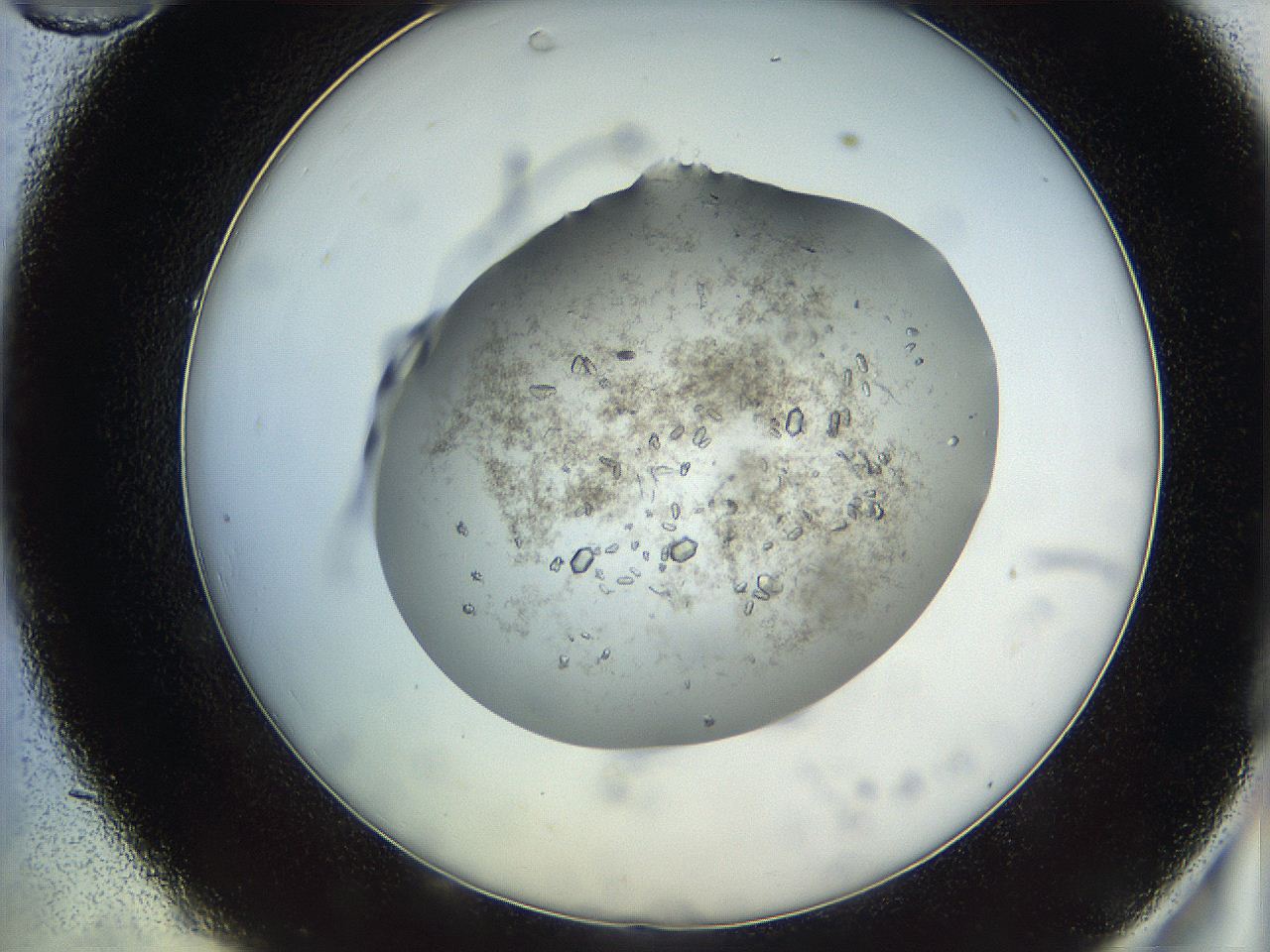 05uk_C10_ImagerDefaults_9.jpg