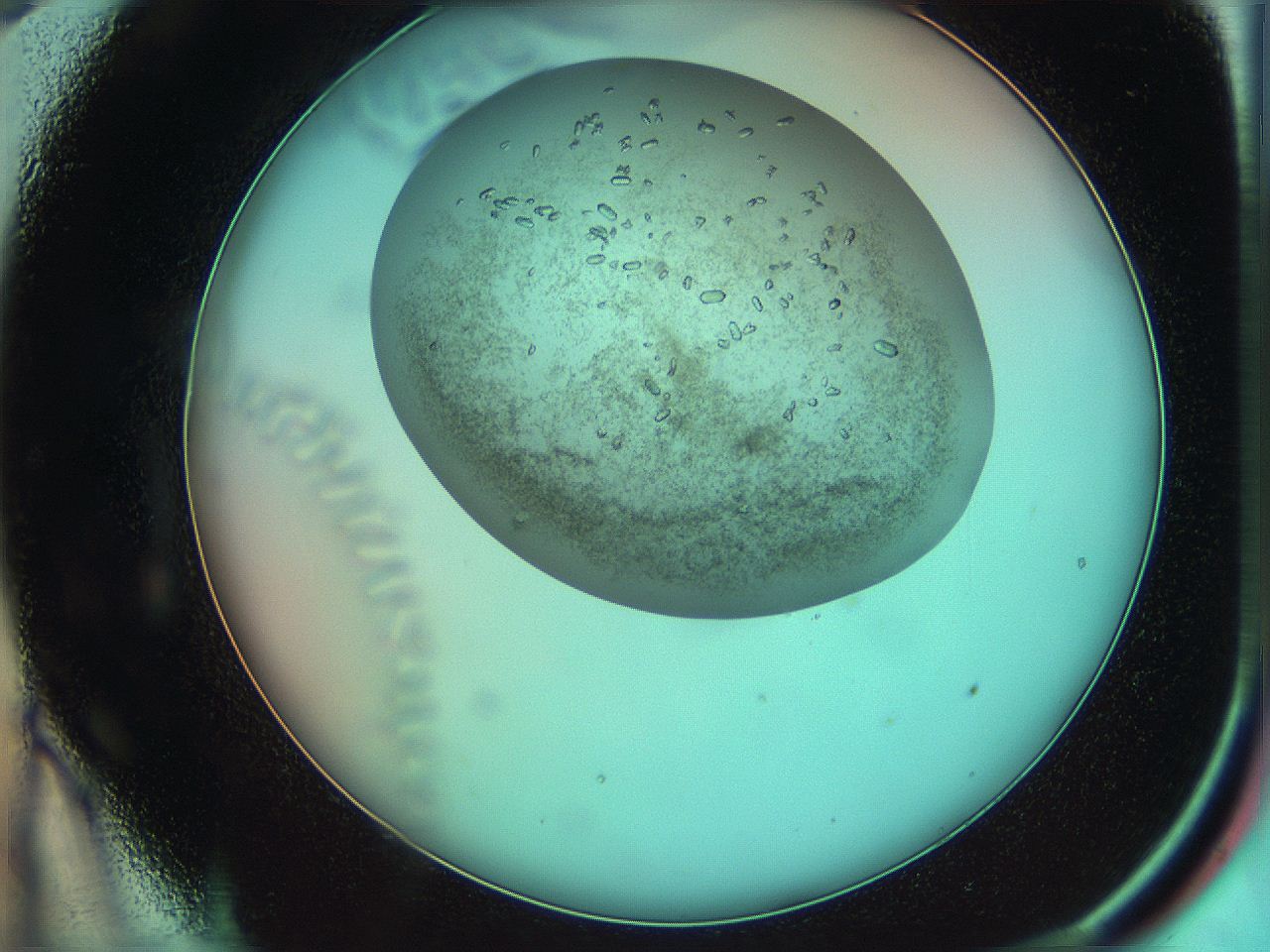 05uk_C9_ImagerDefaults_9.jpg