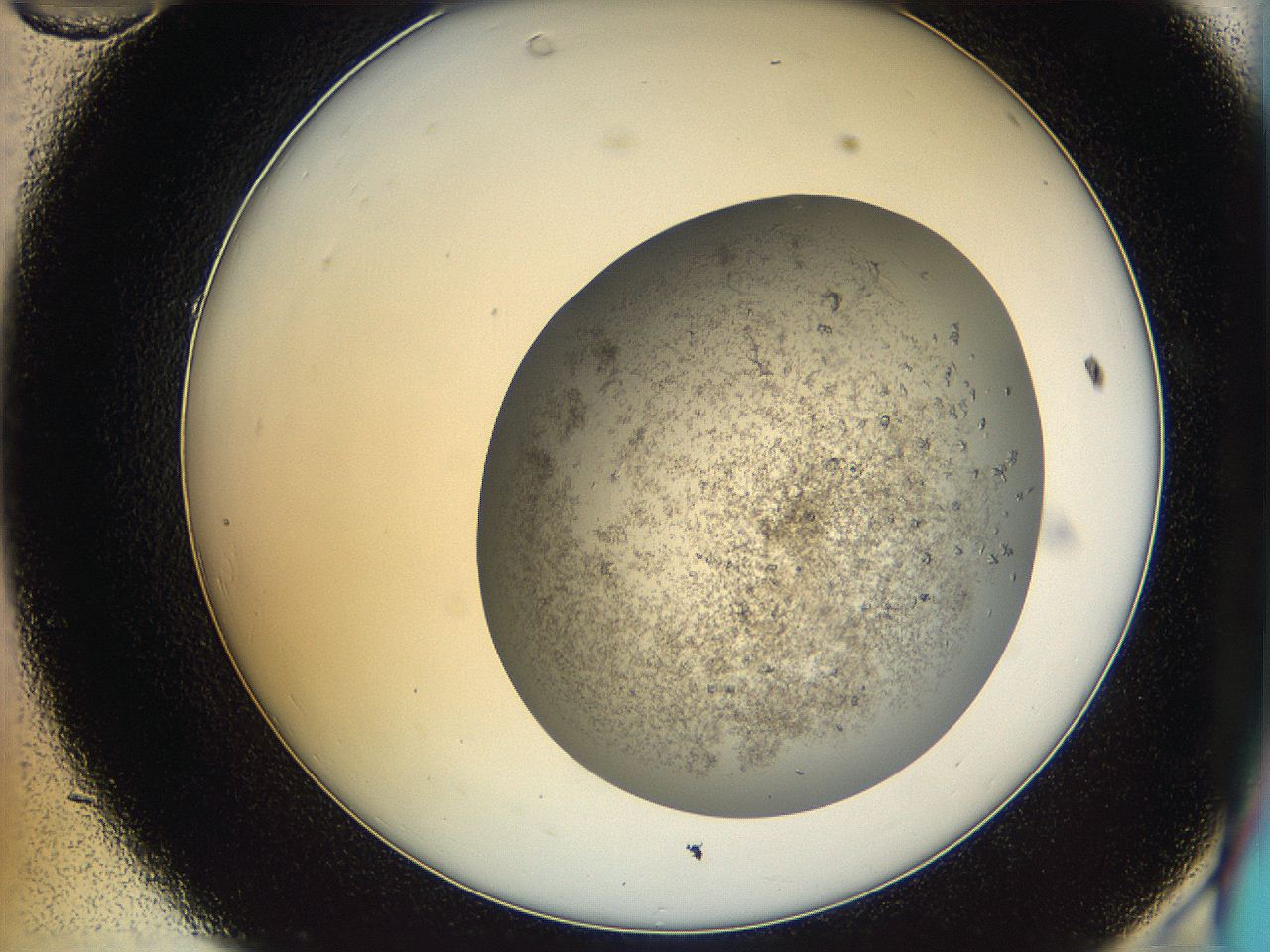 05um_C10_ImagerDefaults_9.jpg
