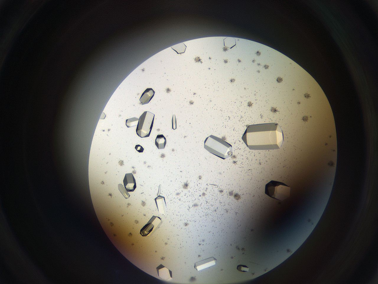 05uv_D4_ImagerDefaults_9.jpg