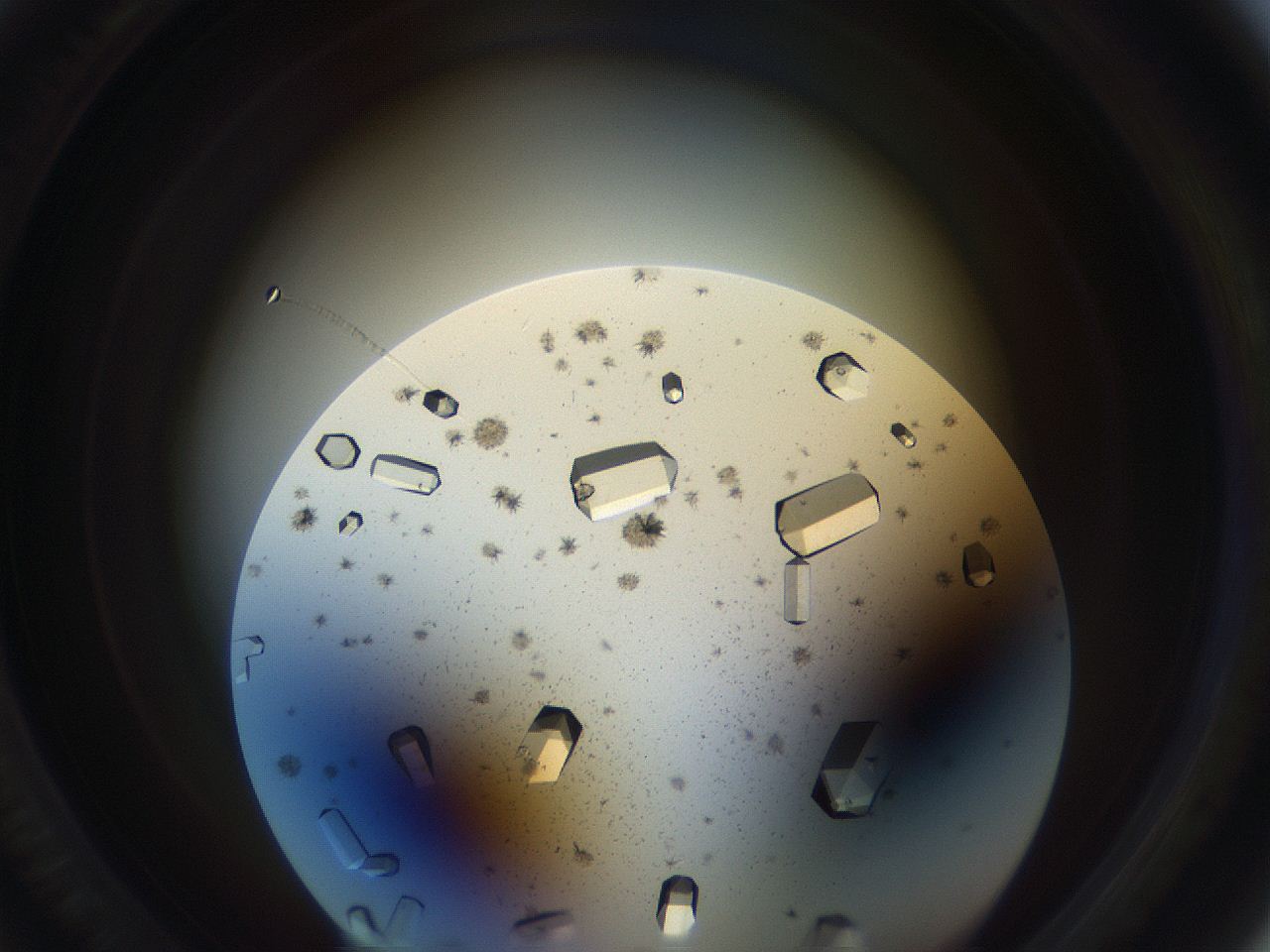 05uv_D5_ImagerDefaults_9.jpg