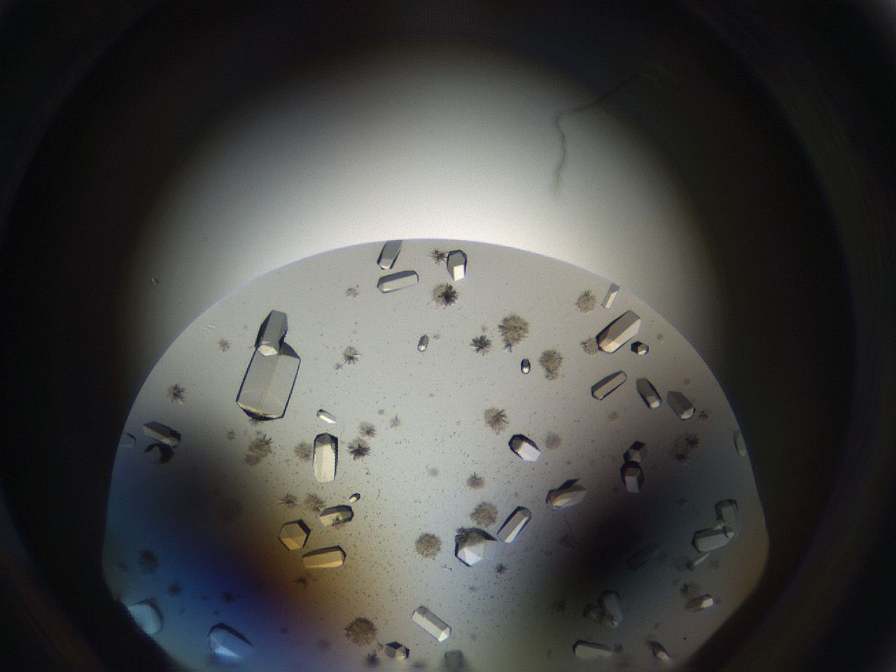 05uv_D6_ImagerDefaults_9.jpg