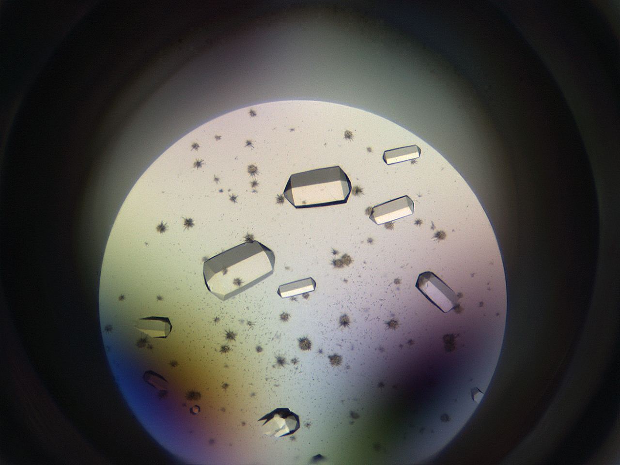 05uv_D2_ImagerDefaults_9.jpg