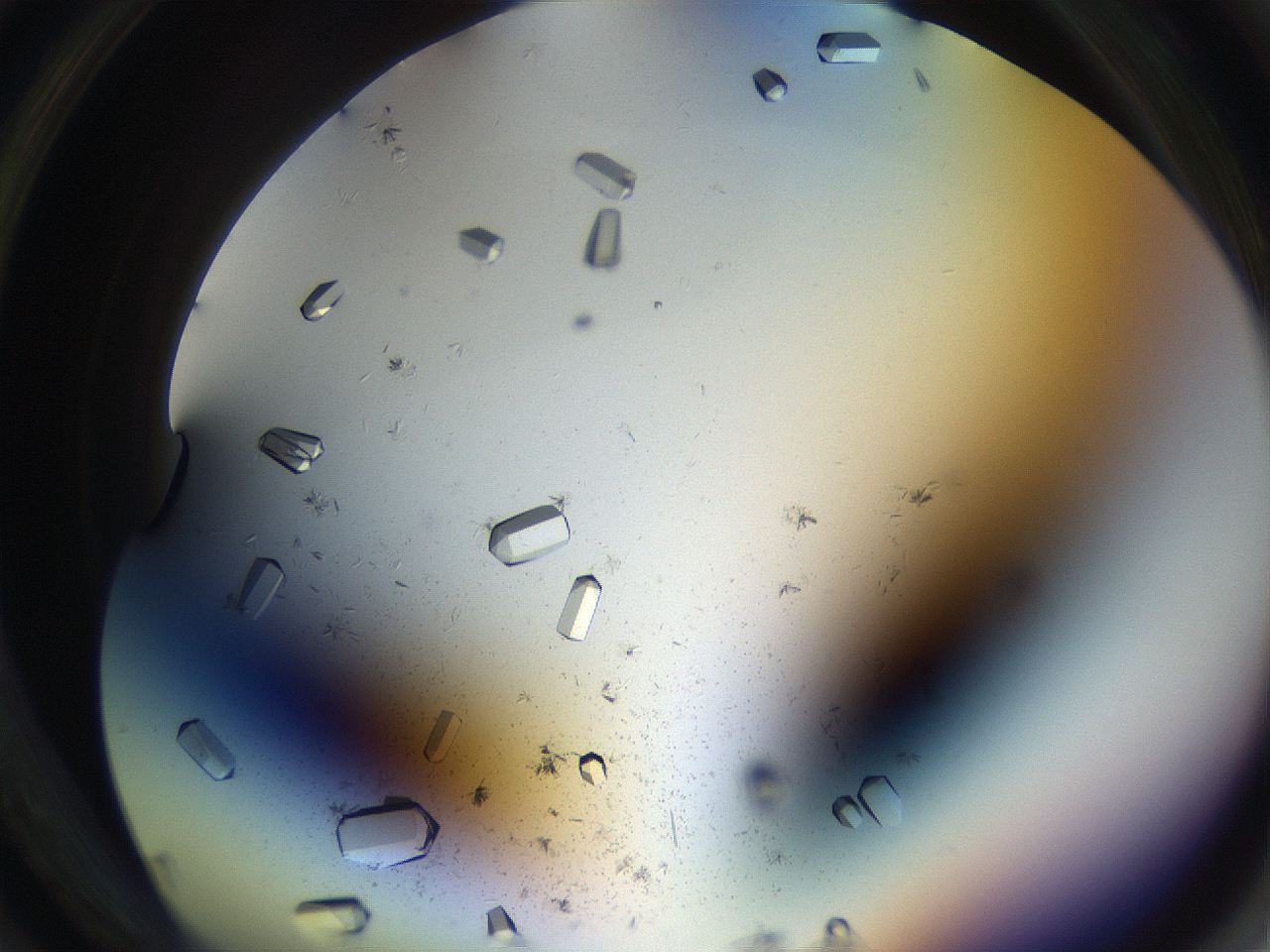05uv_D1_ImagerDefaults_9.jpg