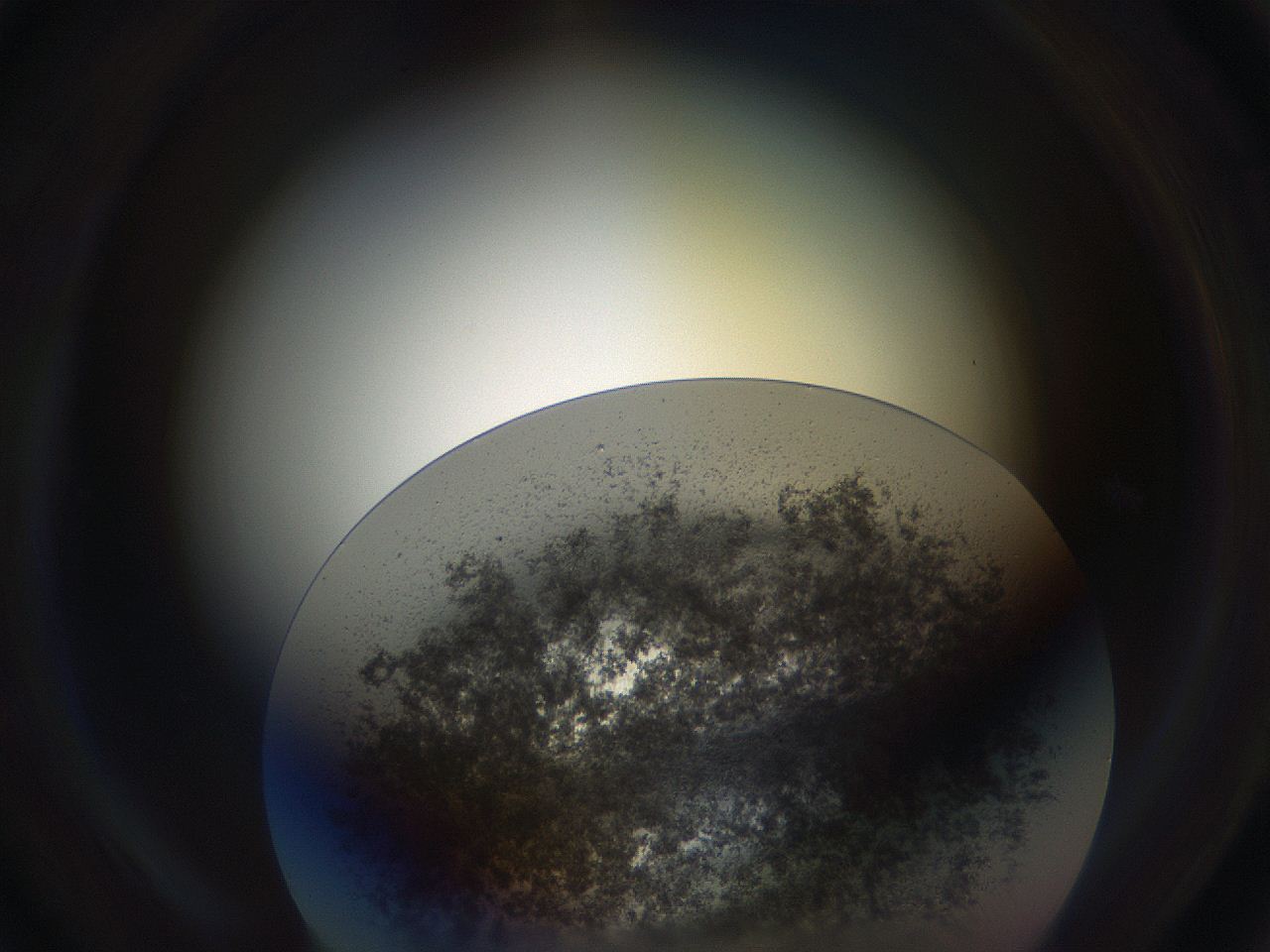 05uv_C6_ImagerDefaults_3.jpg