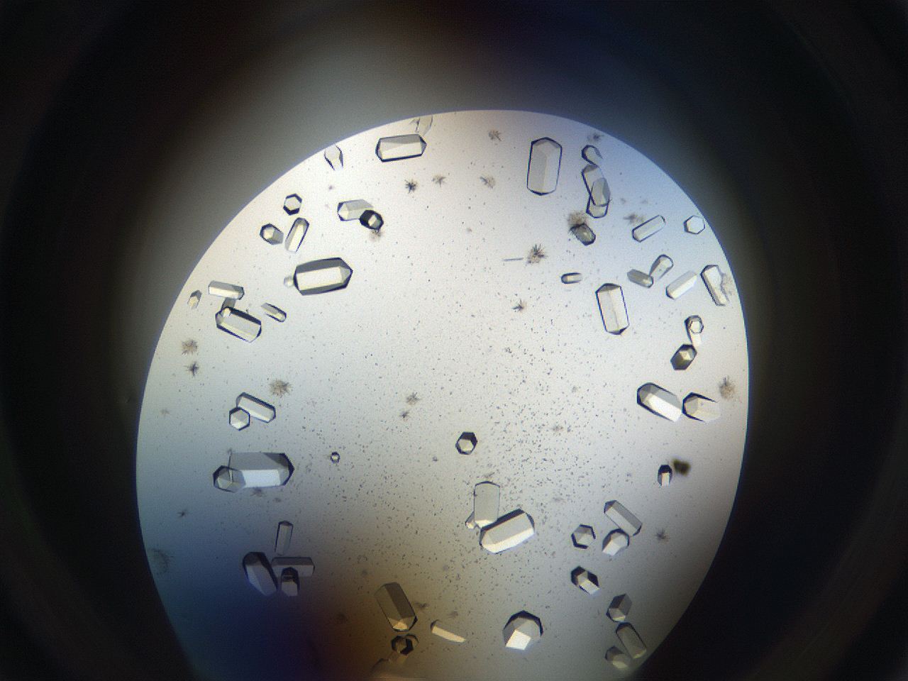 05uv_B6_ImagerDefaults_9.jpg