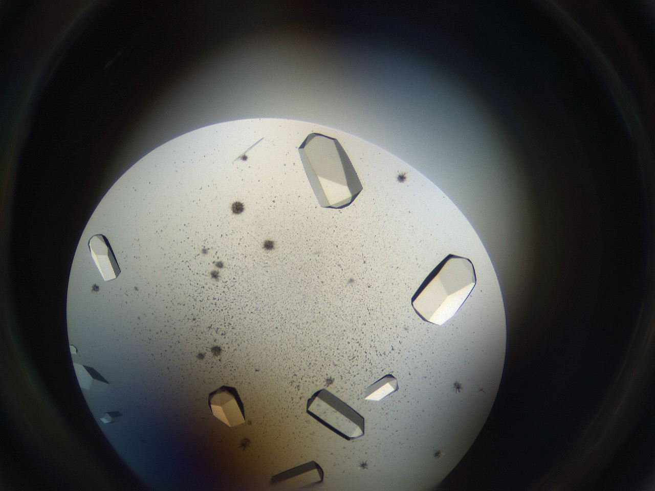 05uv_B5_ImagerDefaults_9.jpg