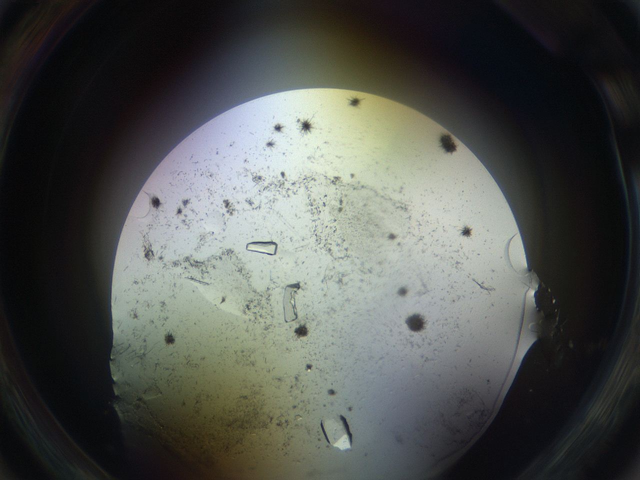 05uv_A3_ImagerDefaults_9.jpg