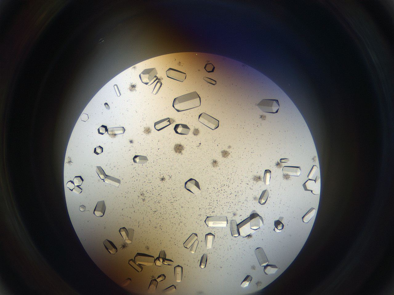 05uv_A4_ImagerDefaults_9.jpg