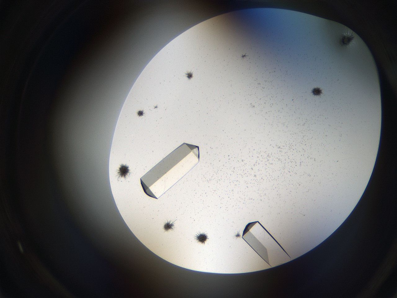 05uv_A5_ImagerDefaults_9.jpg
