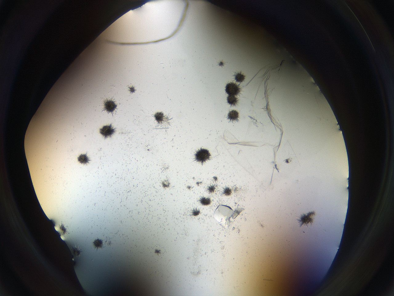 05uv_A6_ImagerDefaults_9.jpg
