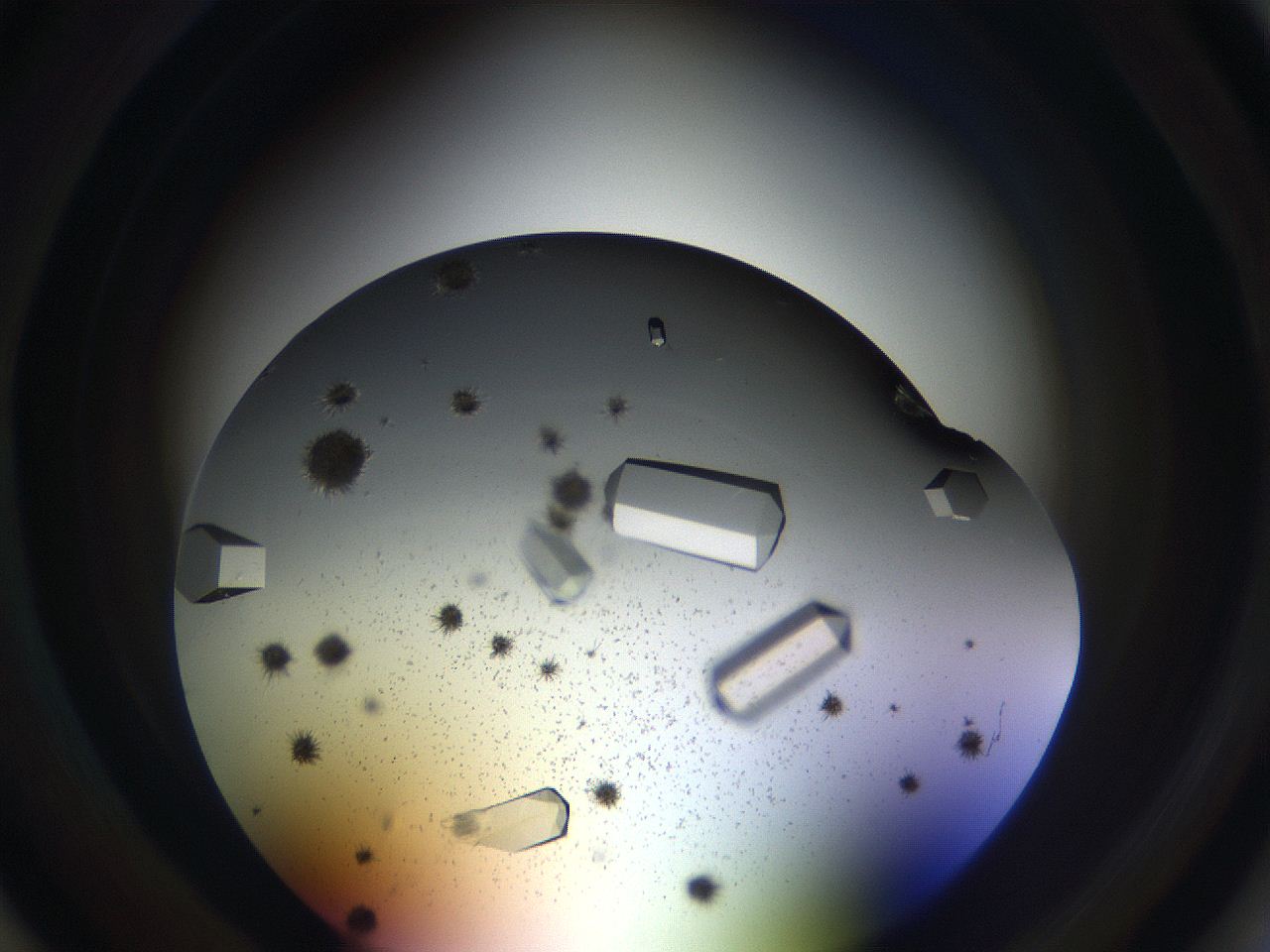 05uv_B1_ImagerDefaults_9.jpg