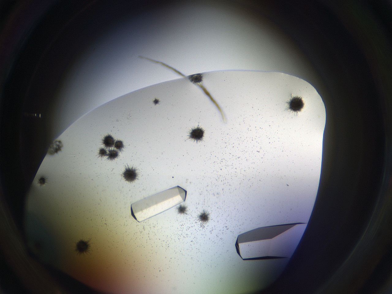 05uv_B2_ImagerDefaults_9.jpg
