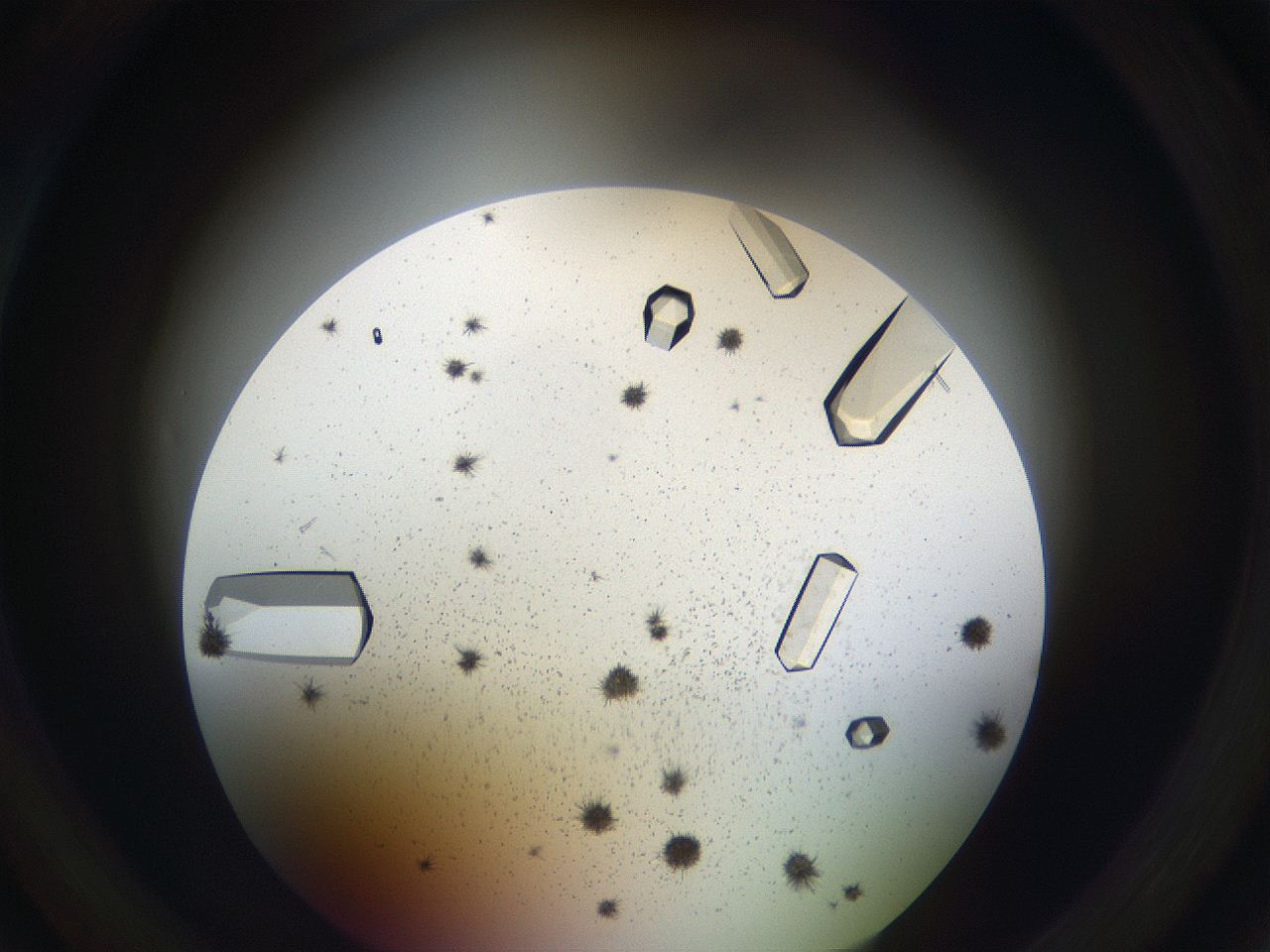 05uv_B3_ImagerDefaults_9.jpg