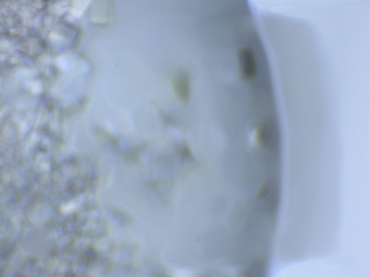 05v5_D12_ImagerDefaults_8.jpg