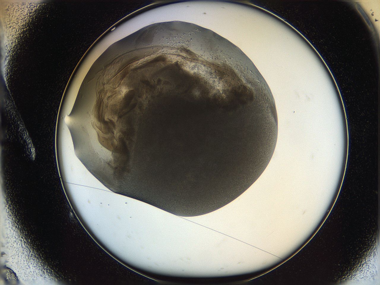 05v5_A9_ImagerDefaults_6.jpg