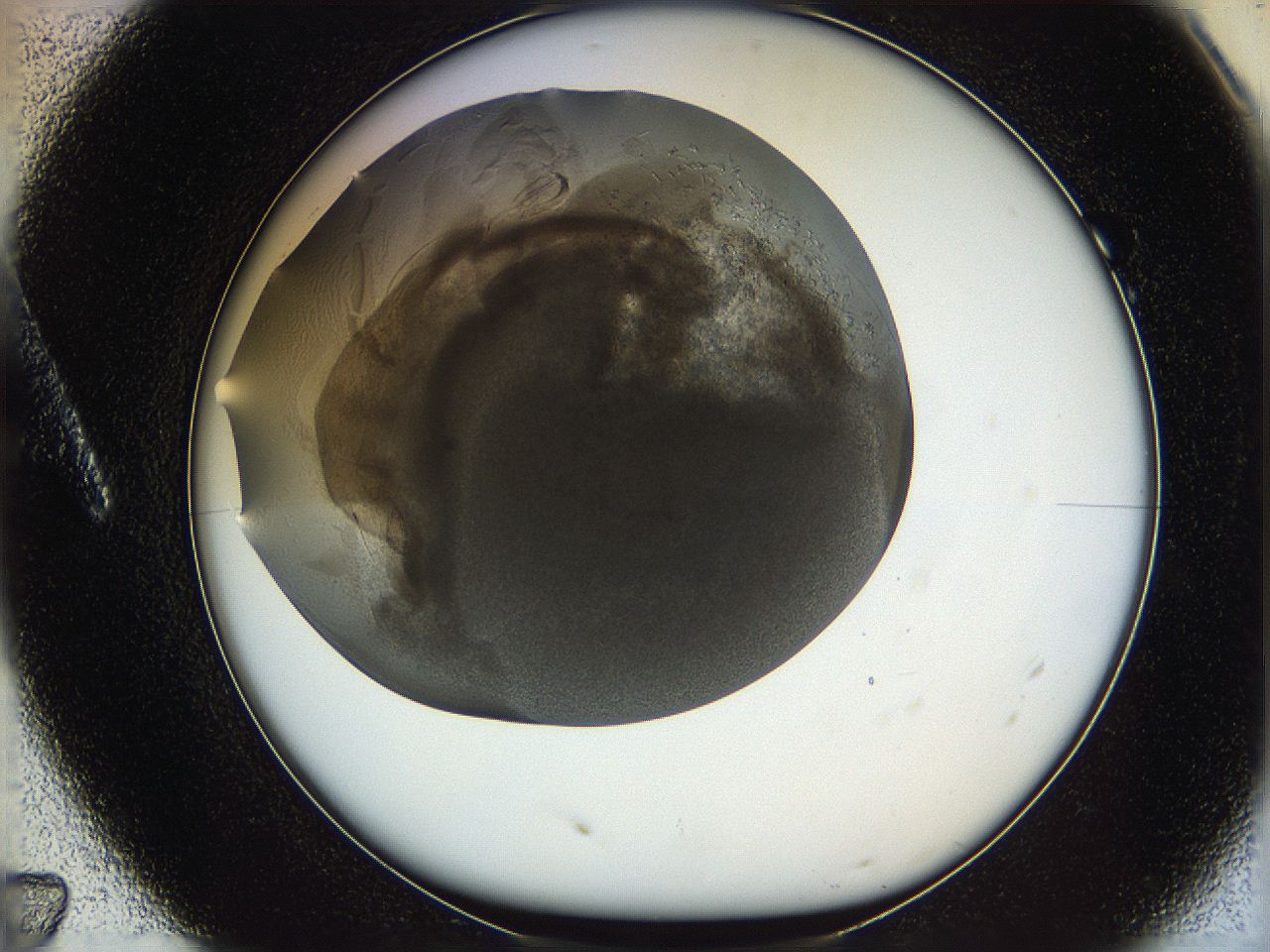 05v5_A7_ImagerDefaults_6.jpg