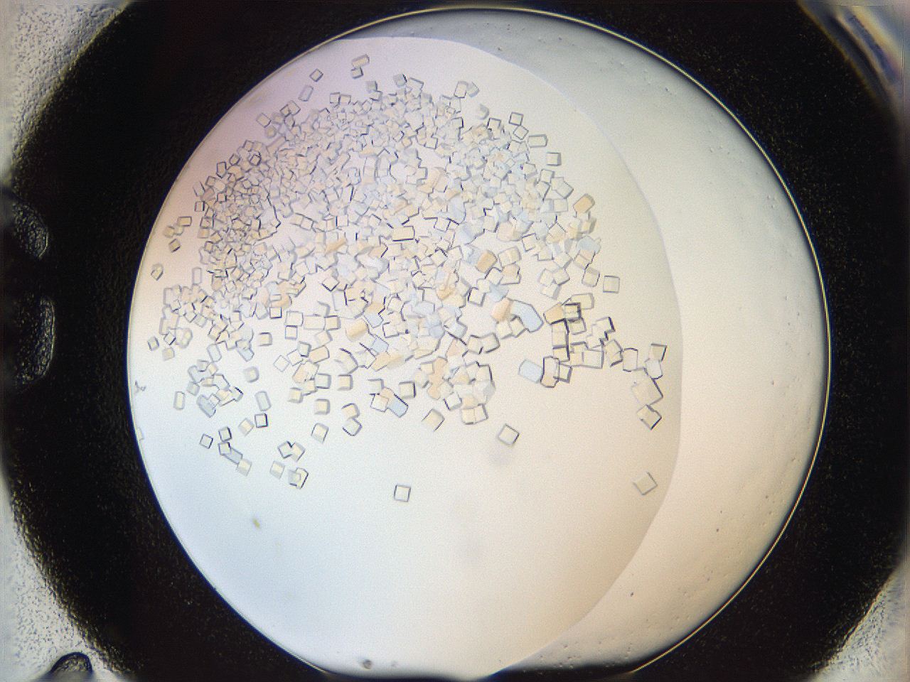 05v5_G11_ImagerDefaults_9.jpg