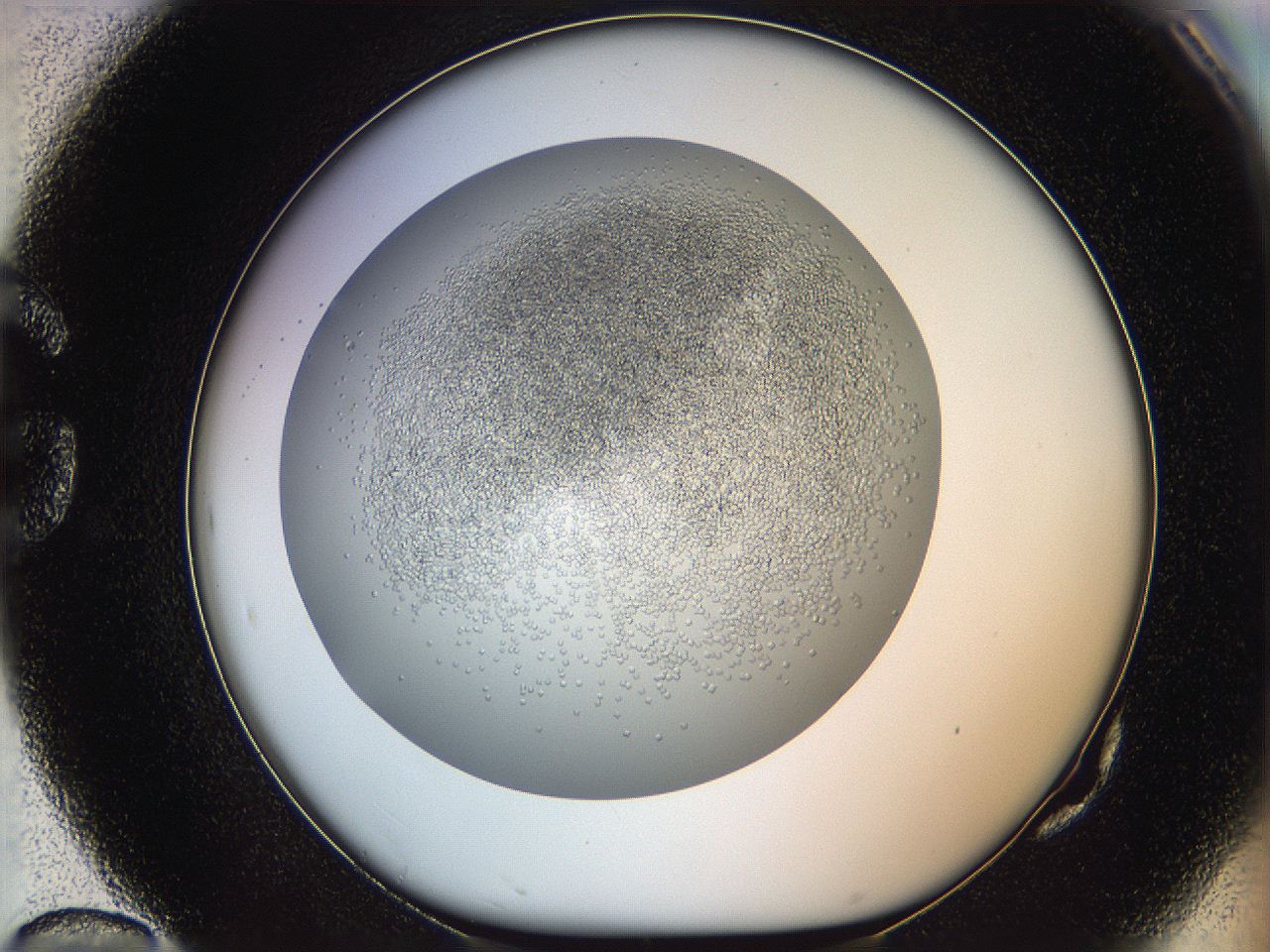 05v5_G10_ImagerDefaults_6.jpg
