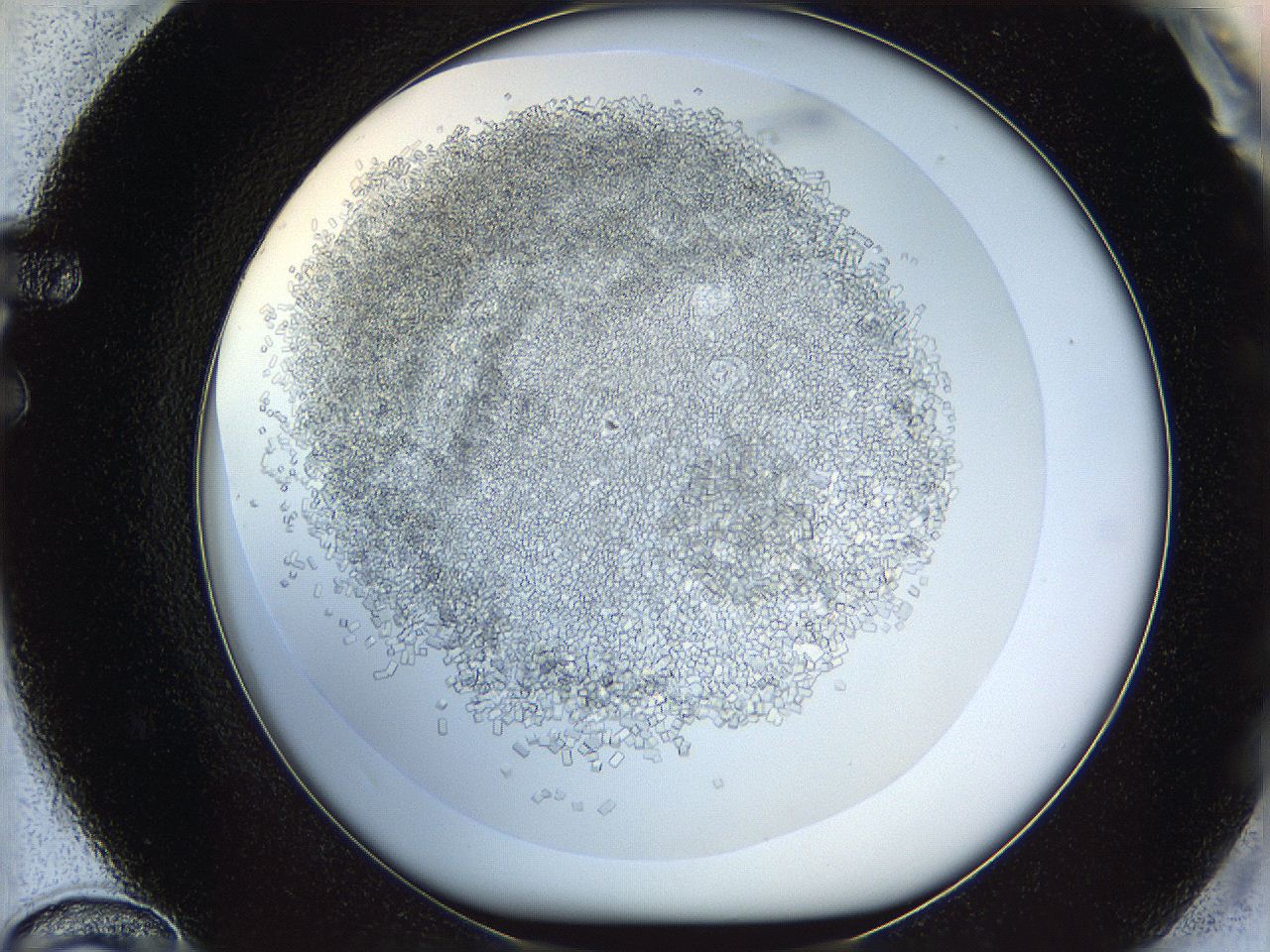 05v5_F12_ImagerDefaults_6.jpg