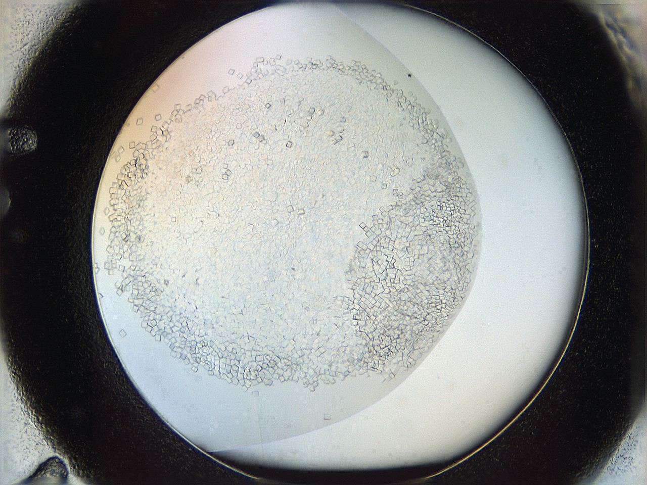 05v5_F11_ImagerDefaults_6.jpg